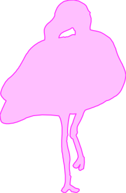 Pink Flamingo Bird on Black Background - Elegant Clipart Design