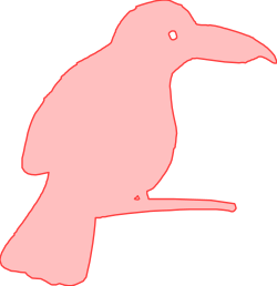 Silhouetted Bird Against Black Background - Stunning Clipart Design