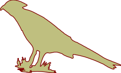Bird Sitting on a Puddle - Charming Clipart Illustration