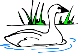 Black Background with Blue and Green Lines Clipart