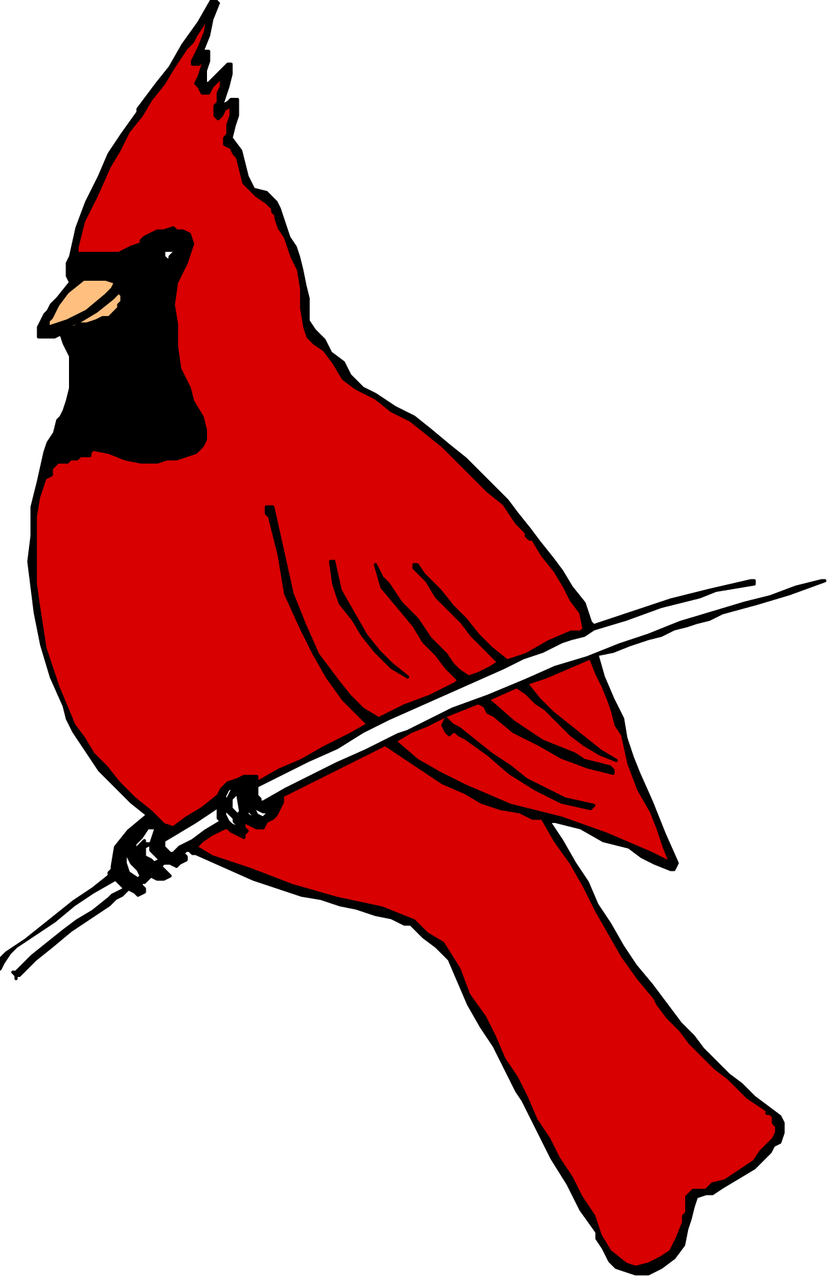 a red bird sitting on a branch clip art png transparent Red Bird on Branch - Nature Clipart Collection