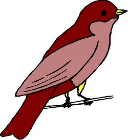 Red Bird Perched on White Object - Charming Clipart Illustration