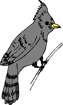 Bird on Branch Clipart - Vibrant and Detailed SVG Illustration