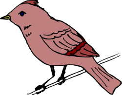 Bird on a Branch Clipart - Perfect for Nature Themes
