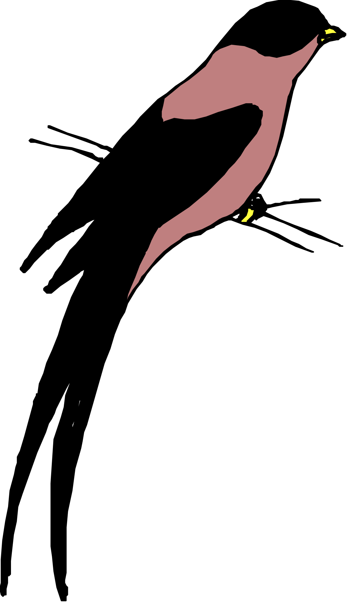 Pink Bird Flying on Black Background - Stunning Clipart