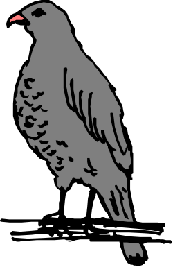 Bird Sitting on a Branch with Red Beak - Stunning Clipart Illustration