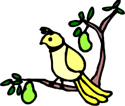 Bird on Tree Branch Clipart: Vibrant Nature Illustration