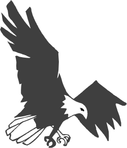 Eagle Flying in the Air: Stunning Clipart for Nature Enthusiasts