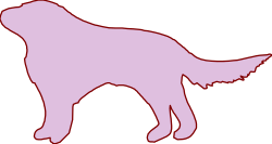 Animals,Catsdogs,ANSSG067 clipart