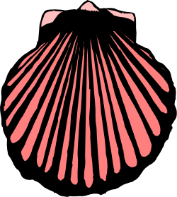 Pink Shell on Black Background - Stunning Clipart for All Your Projects
