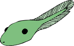 Green Feather Clipart on Black Background for Vibrant Designs