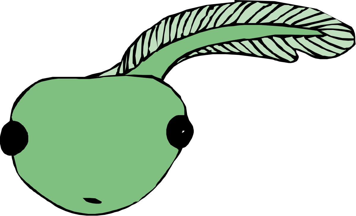 Apple with Leaf Clipart - Fresh and Vibrant Fruit Illustration