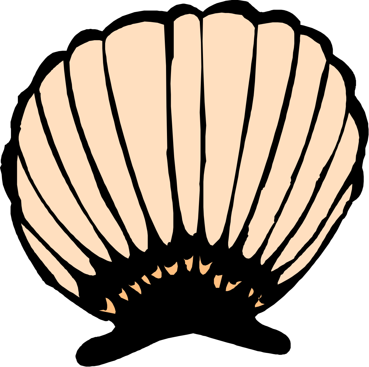 a shell shell clip art png transparent Shell Clipart: Beautiful Nautical Designs for Creative Projects