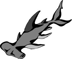 Bird Flying in the Air with Wings Spread - Stunning Clipart Illustration