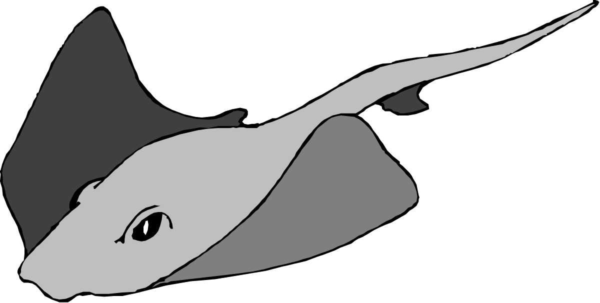 a gray and white fish with a black background clip art png transparent Gray and White Fish Clipart on Black Background - Stunning Digital Artwork