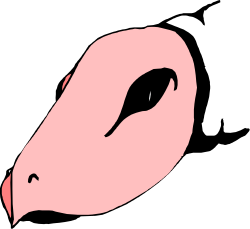 Pink Flamingo on Black Background - Stylish Clipart for Creative Projects