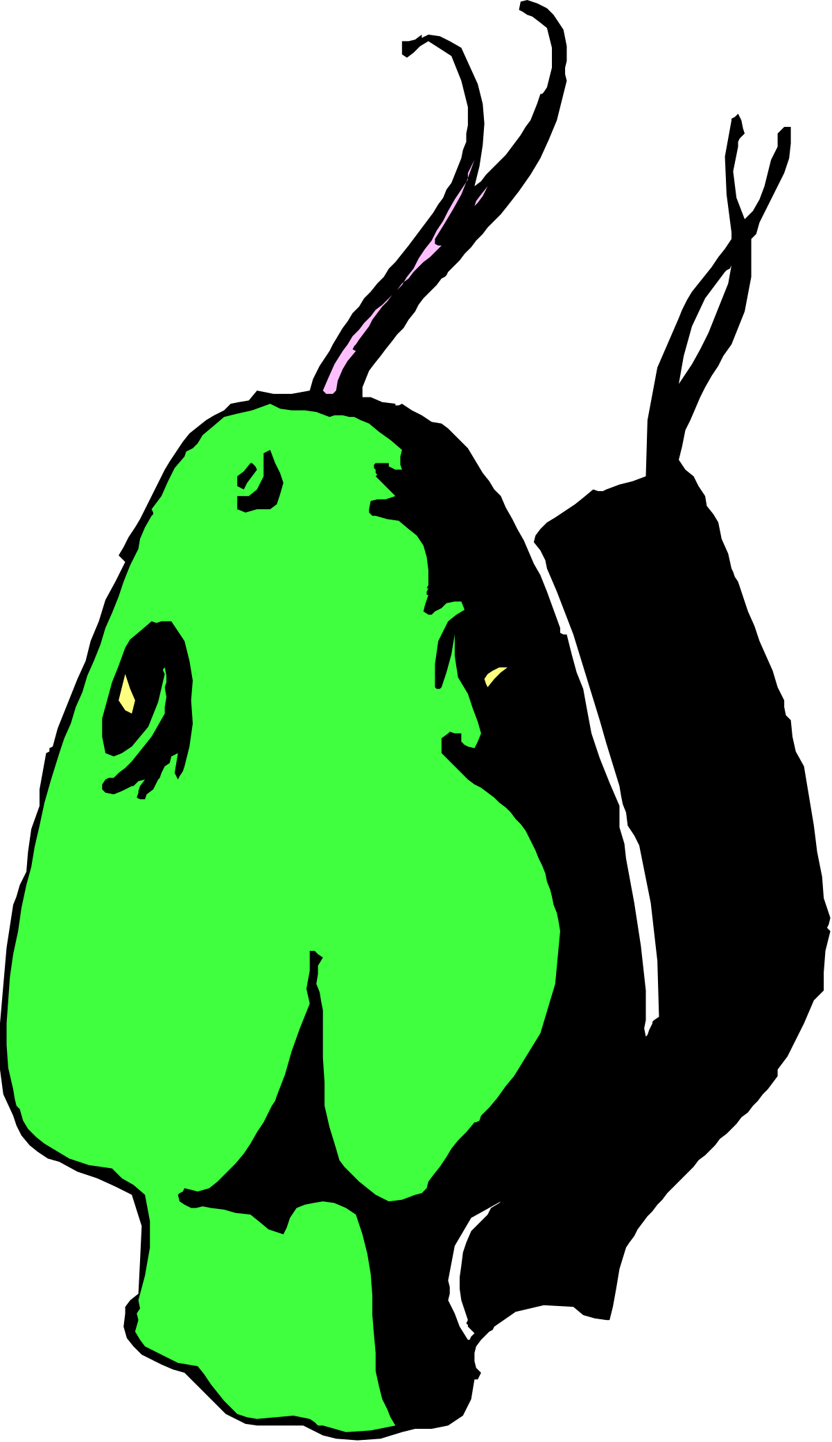 Green Lion Head Clipart on Black Background