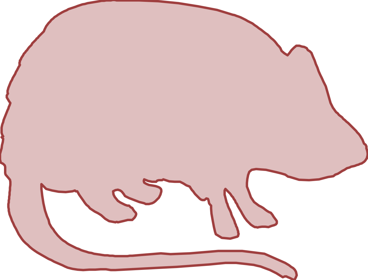 a rat rat rat rat rat rat rat rat rat rat rat rat rat rat rat rat rat rat rat rat clip art png transparent Rat Clipart: Playful Cartoon Rodents for Fun Designs