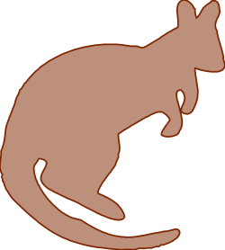 Cat Silhouette on Black Background - Elegant Clipart