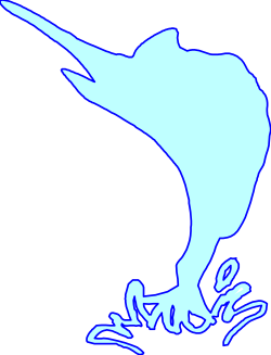 Birds Flying in the Sky Clipart - Stunning Aerial Views
