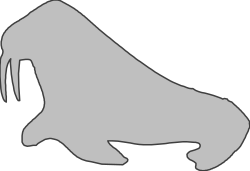 Gray Shoe Silhouette Clipart for Creative Projects and Designs
