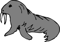 Seal Clipart: Playful and Charming Seal Illustrations for Your Projects