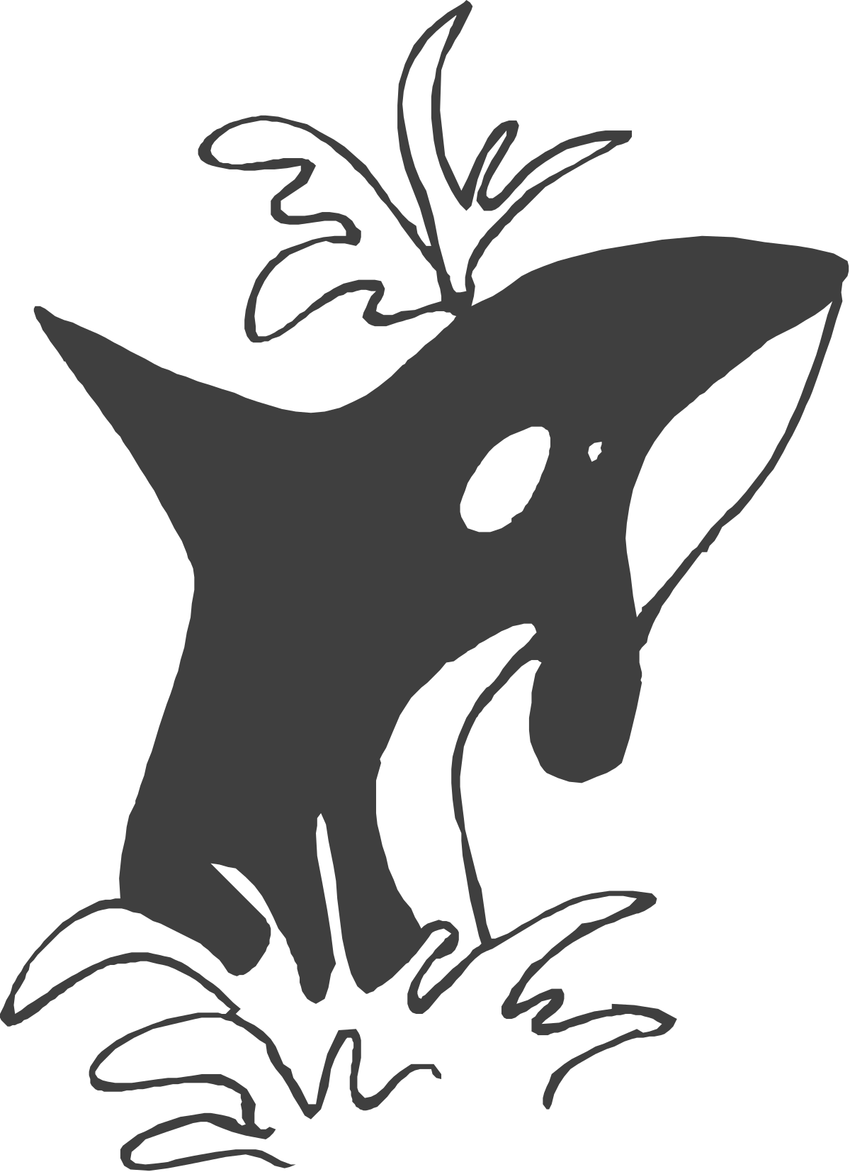Black and White Whale Illustration with Striking White Tail