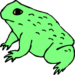 Green Frog on Black Background - Vibrant Clipart