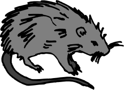 Black and White Rat Clipart Over Black Background
