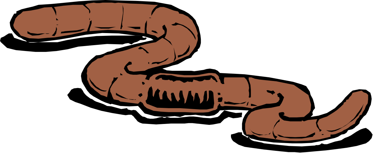 Worm Clipart: Brown and Black Drawing for Educational Use