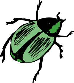 Green Apple Clipart with Leaf - Fresh and Vibrant Designs