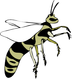 Bee Clipart on Black Background - Stunning Insect Illustration