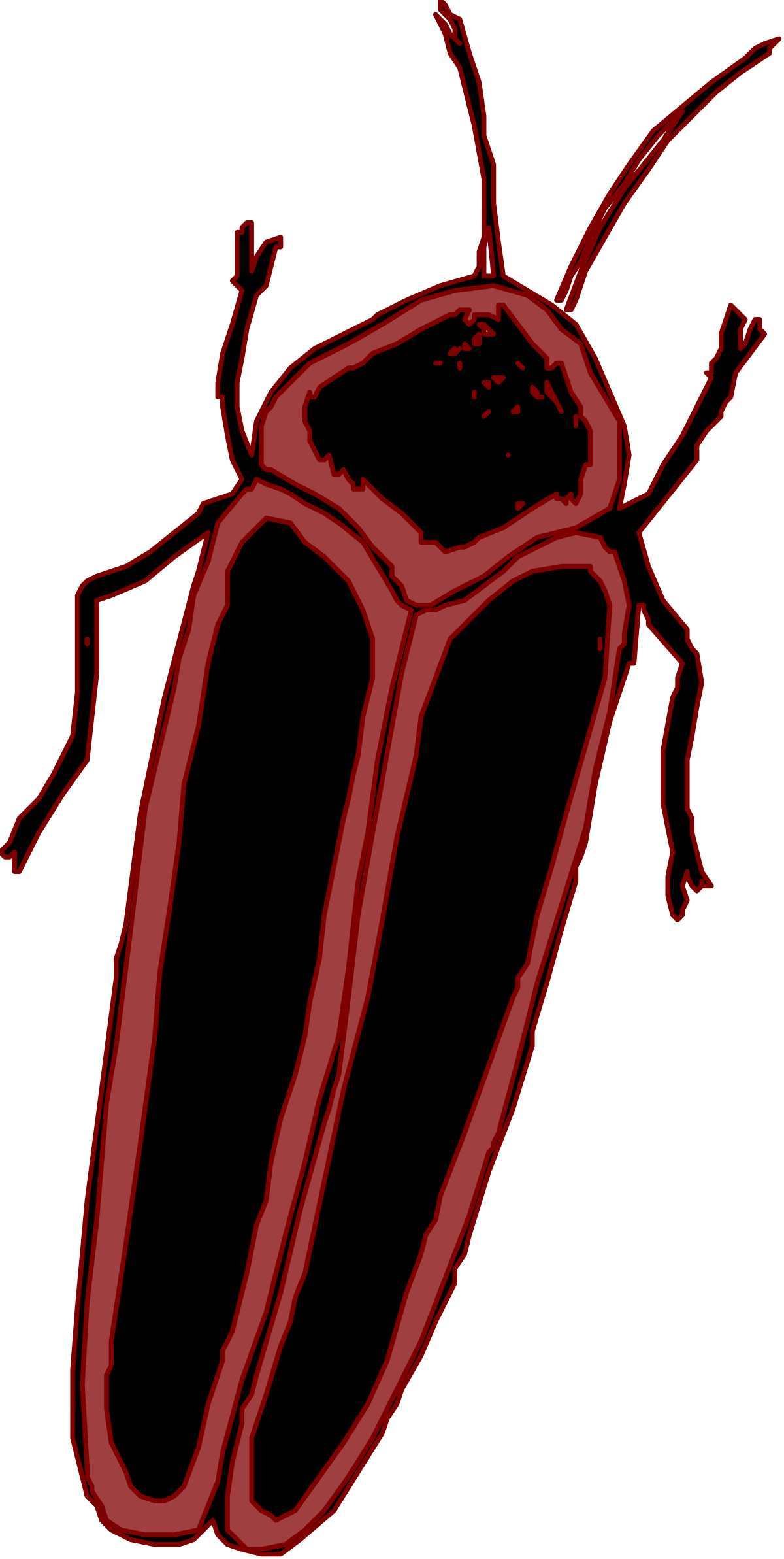 a bug with a long, black body clip art png transparent Black Body Bug Clipart - Detailed Insect Illustrations