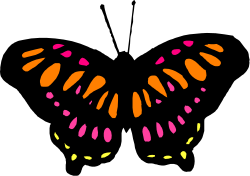 Colorful Butterfly Clipart on Black Background