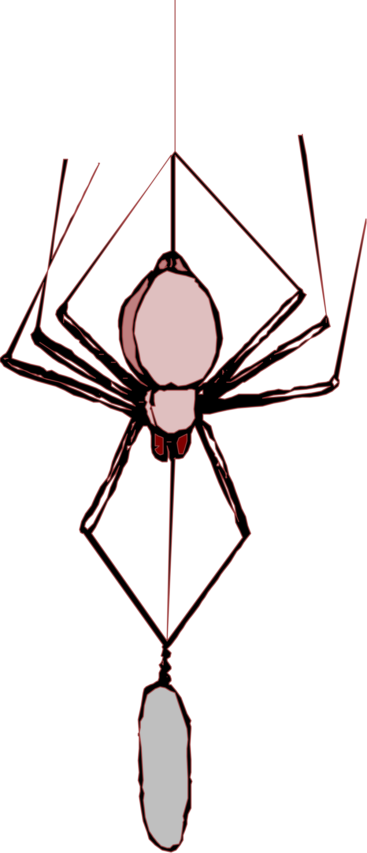 Spider with White Face and Black Legs Clipart for Unique Designs