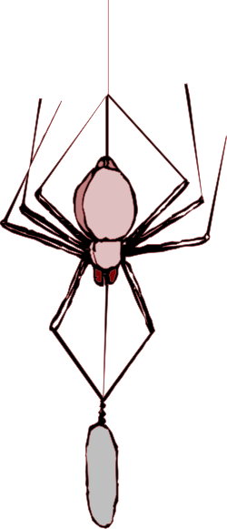 Spider with White Face and Black Legs Clipart for Unique Designs