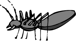 Black and White Bug Clipart - Intricate Insect Designs for Your Projects