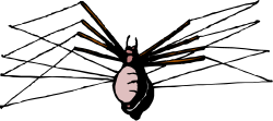 White Butterfly with Black Wings Clipart for Nature Lovers
