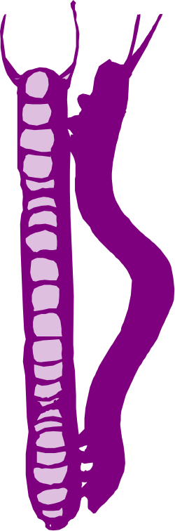 Purple and White Silhouette of a Man with Neck - Stylish Clipart Collection