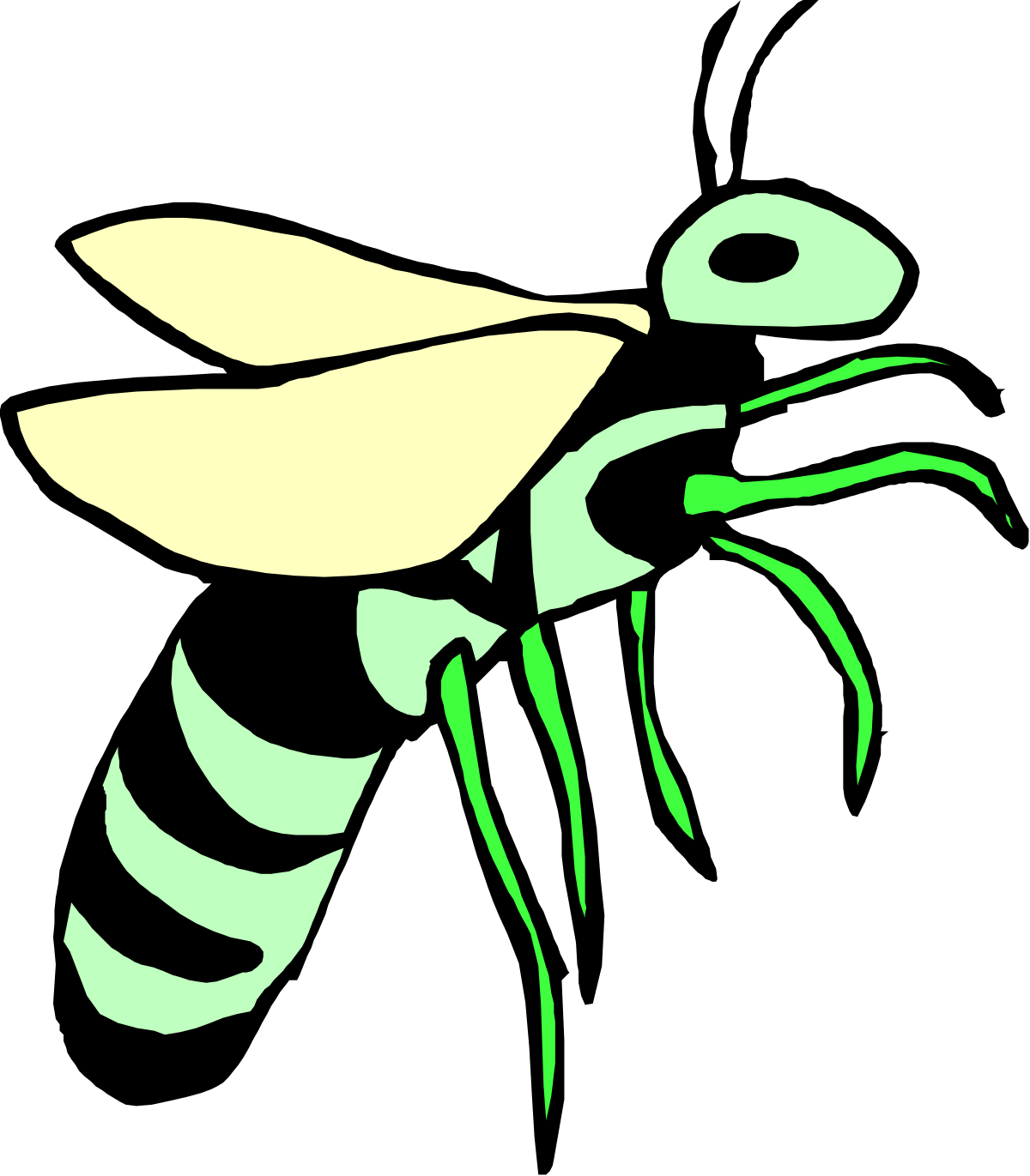 Green and Yellow Insect Clipart on Black Background