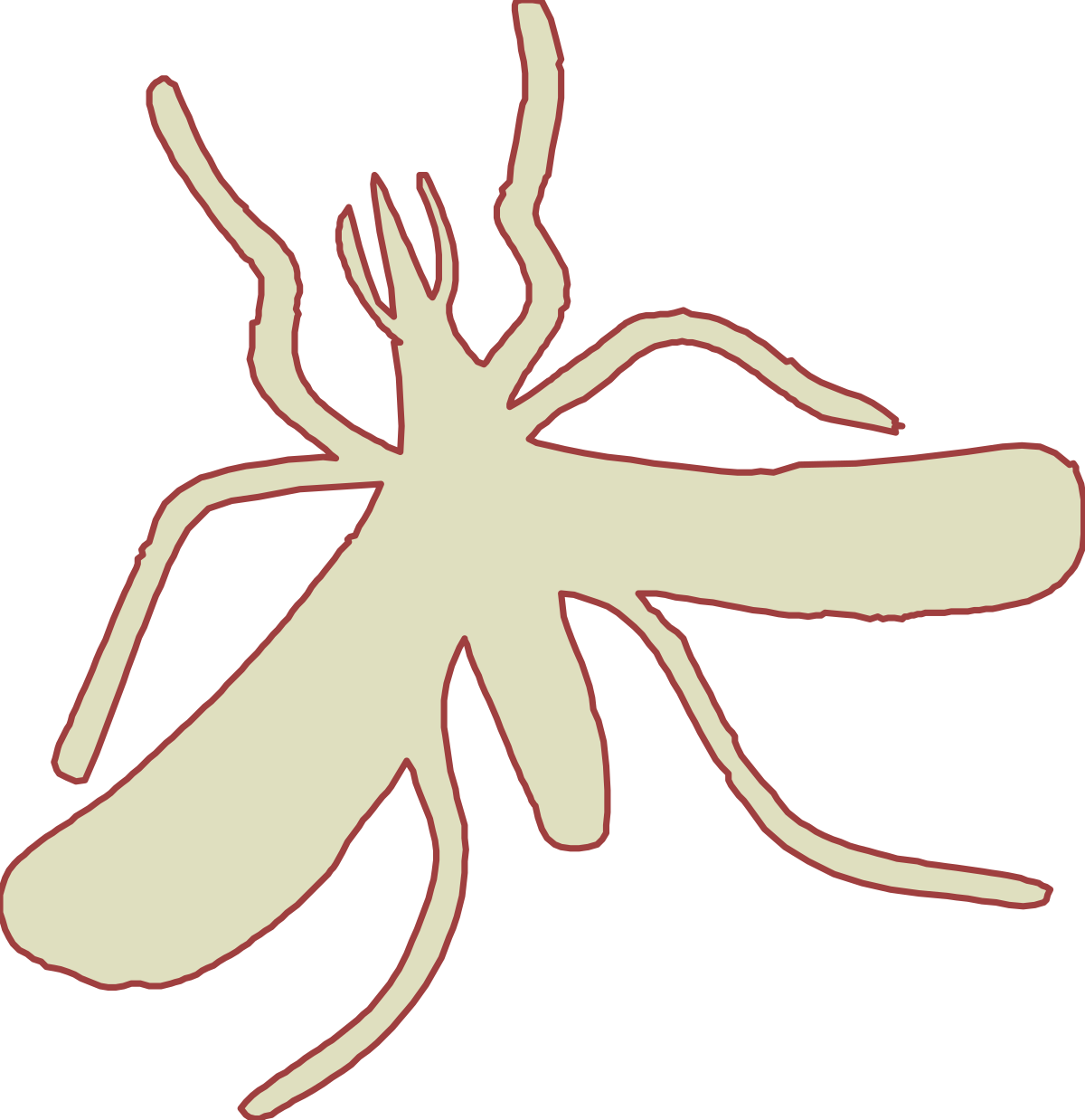 Brown and White Insect on Black Background Clipart