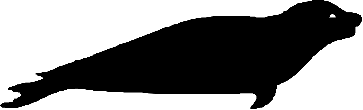 Striking Black Background with White Circle Clipart