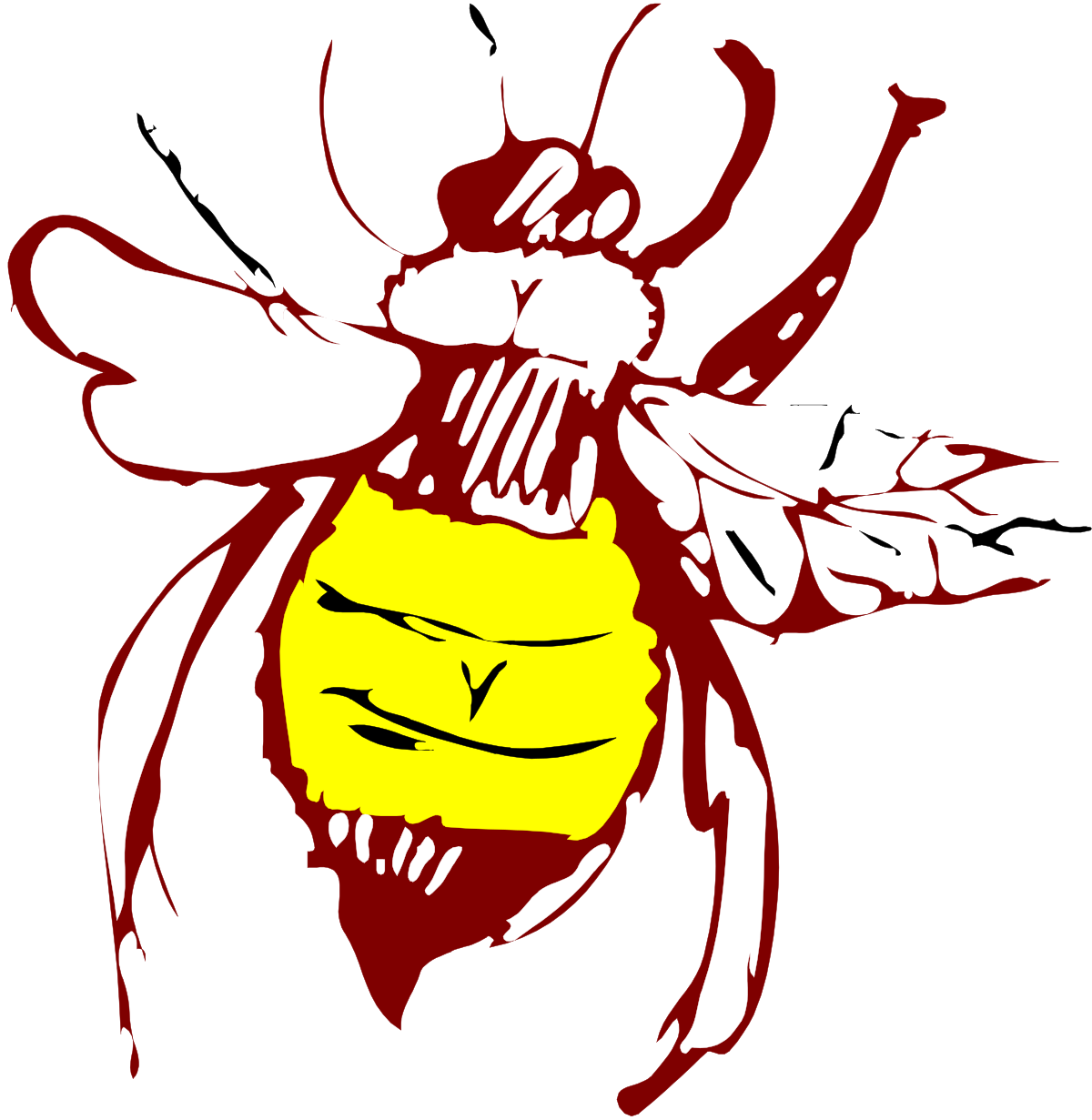 Bee with Yellow Face on Black Background Clipart