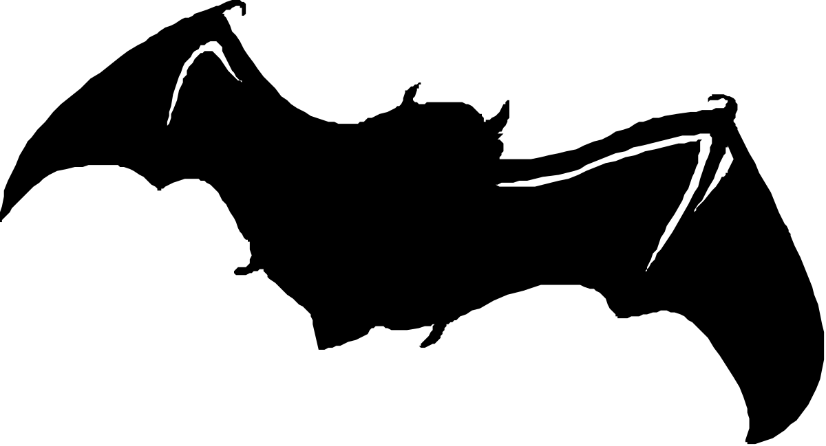 Black and White Cat Clipart on Dark Background - High-Impact Visuals