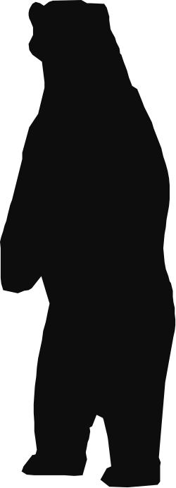 Black Bear Silhouette on White Background - Stunning Clipart for Nature Themes