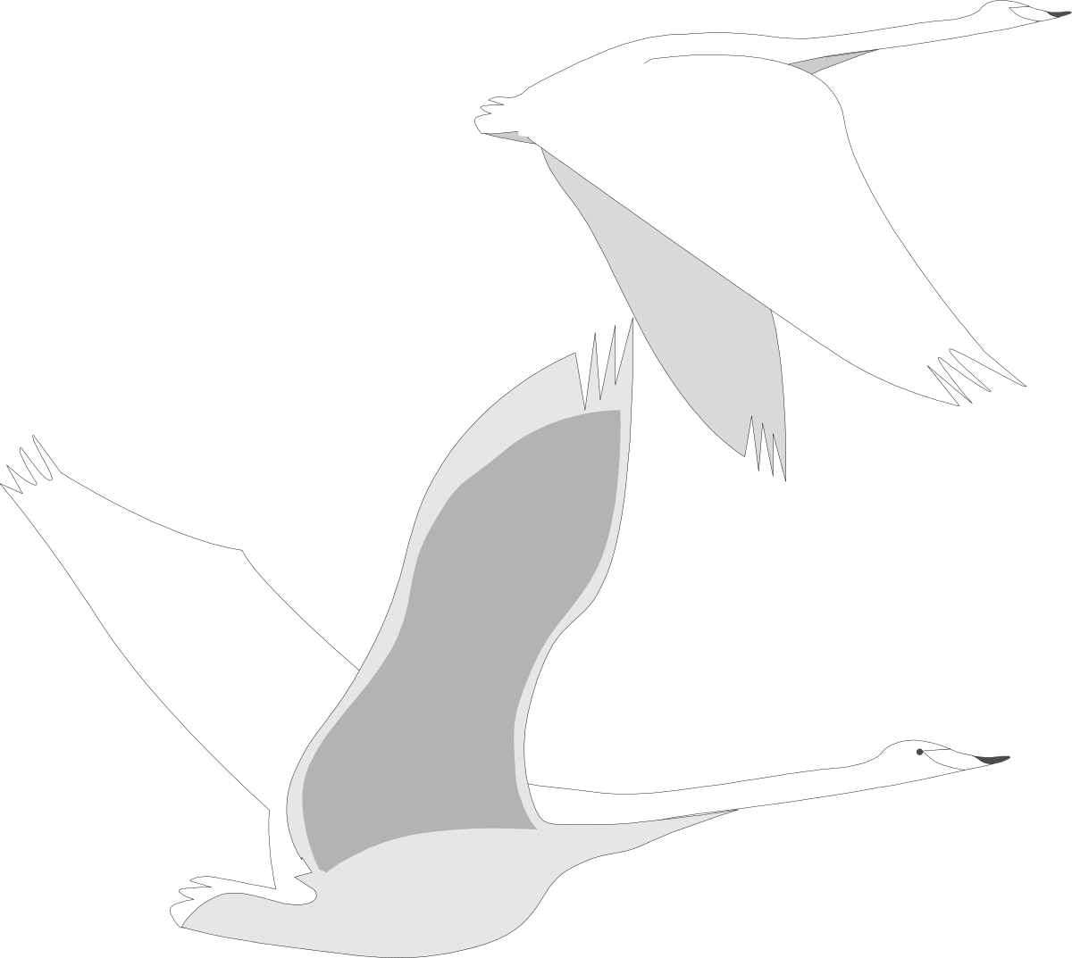 two birds flying in the air clip art png transparent Two Birds Flying in the Air - Vibrant SVG Clipart