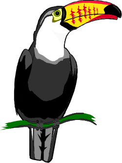 Toucan Bird Clipart: Vibrant Yellow Beak Illustration