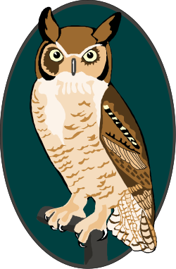 Owl on Rock Clipart - Perfect Nature Illustration for Your Projects