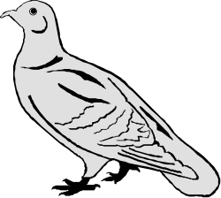 Silhouetted Bird Against Black Background Clipart