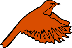 Orange Feathered Bird Clipart for Vibrant Designs